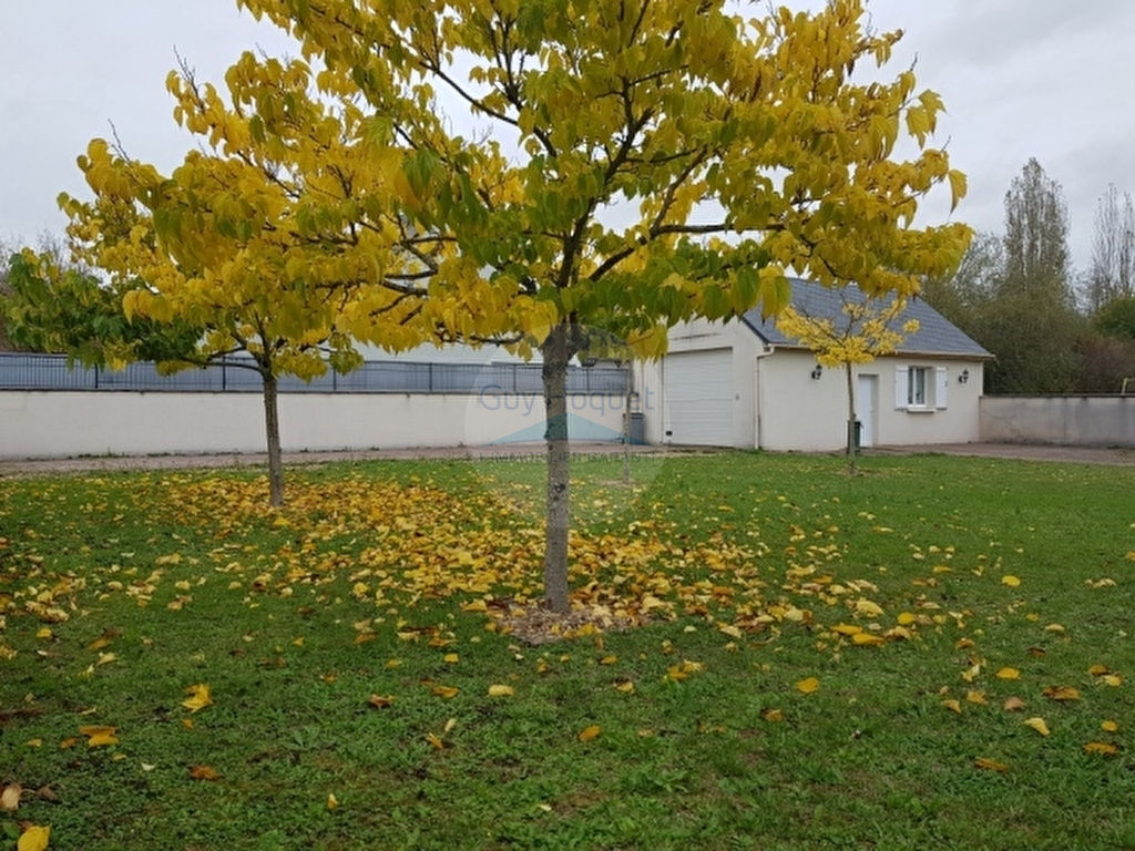 Terrain constructible