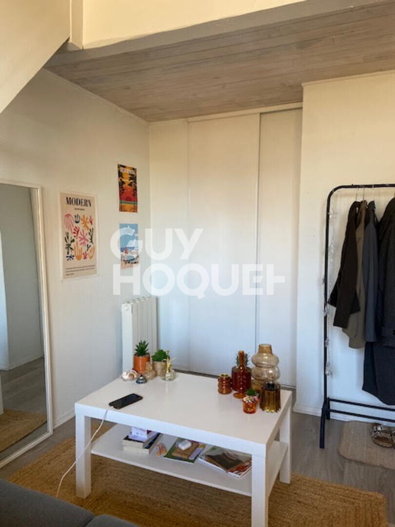 Appartement T1 bis en coeur de ville