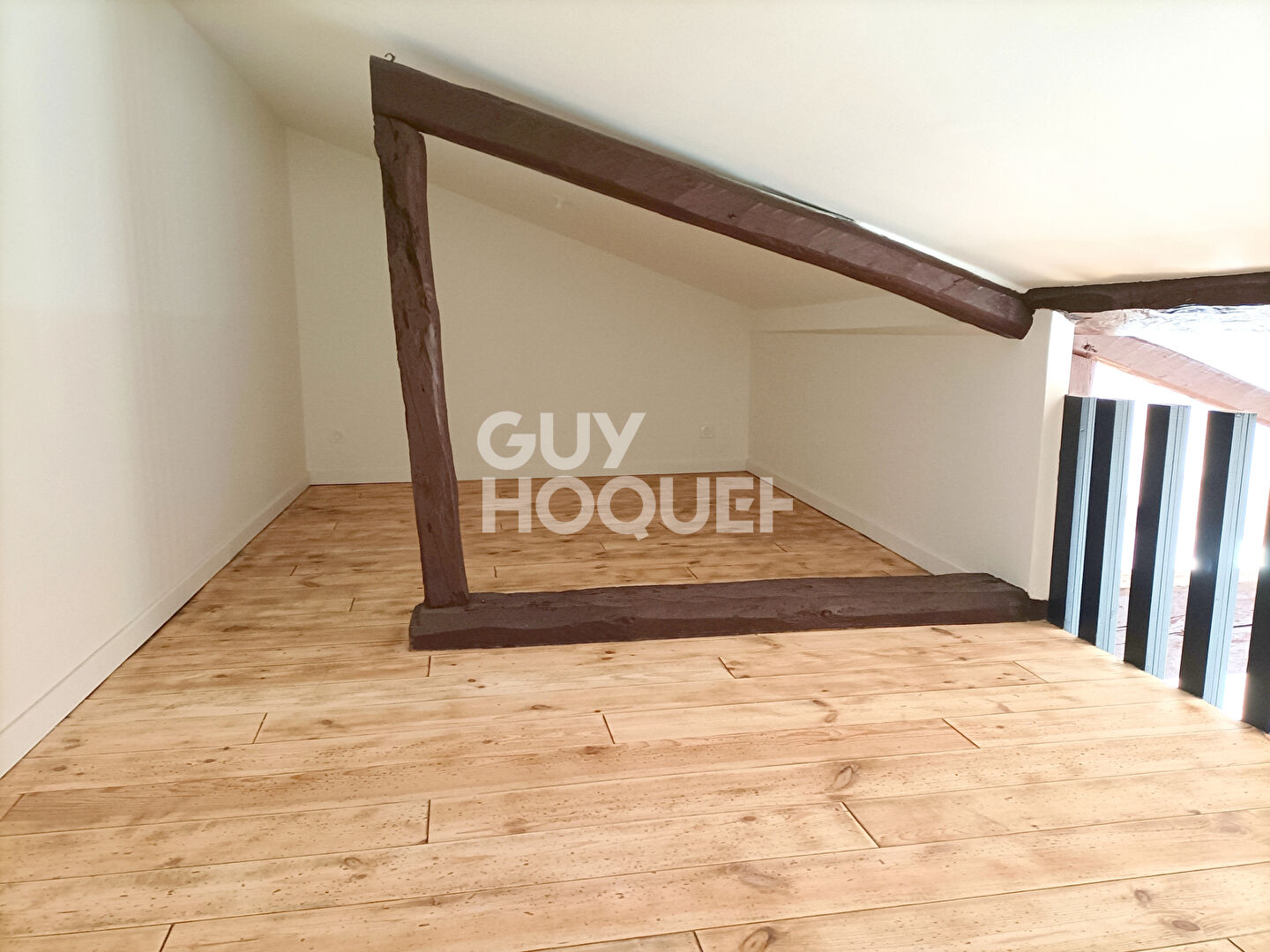 Appartement entièrement rénové en centre ville