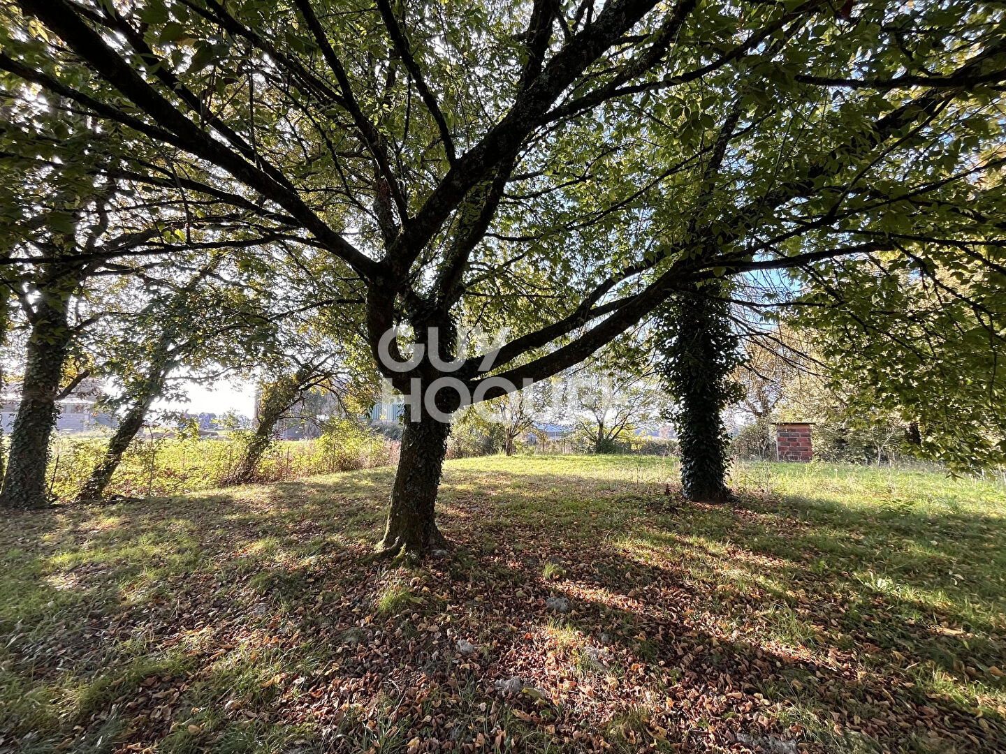 Coquette maison de plain-pied, 3 chambres, garage et dépendances