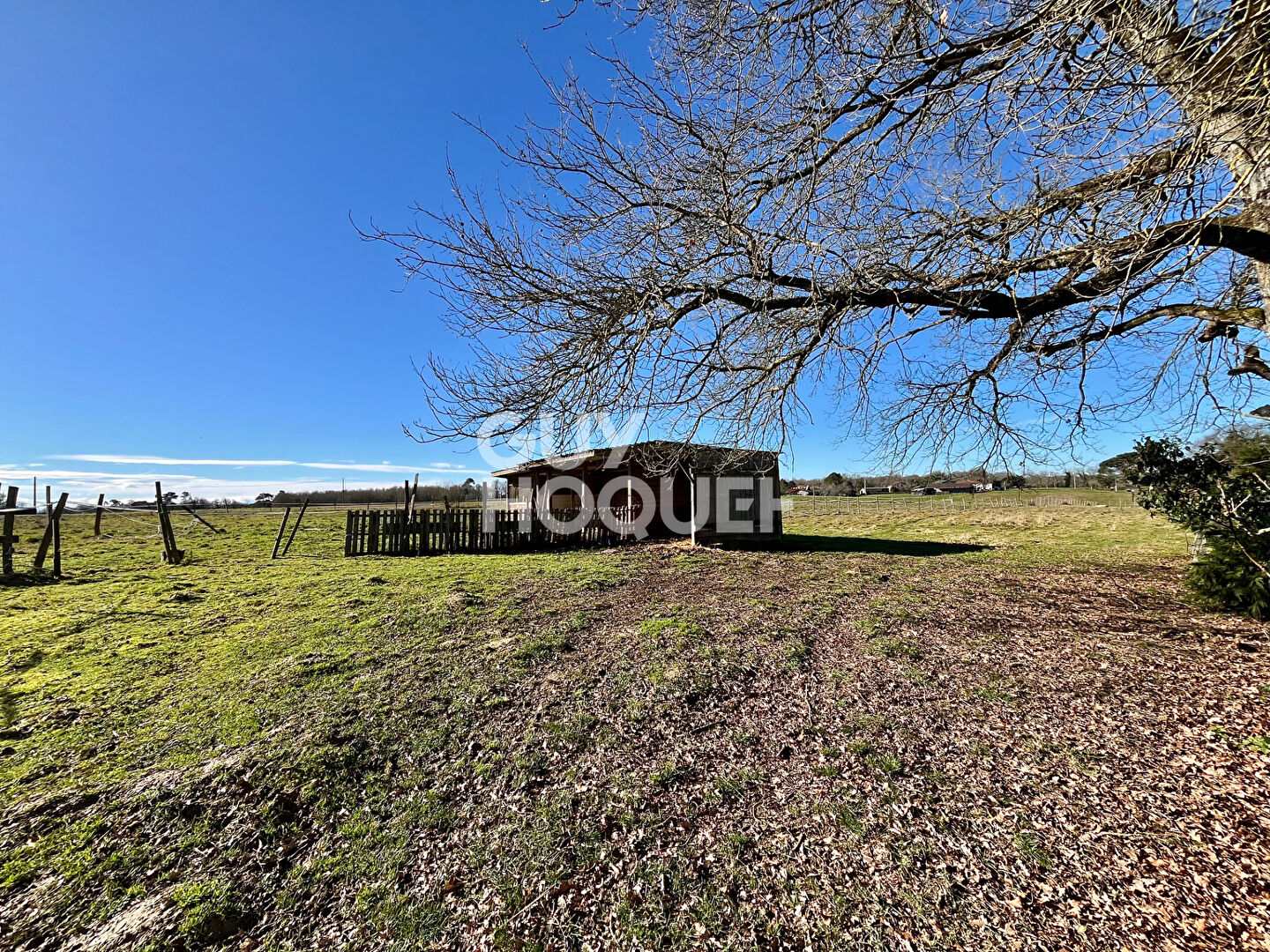 Ferme landaise rénovée, 5 chambres, piscine et dépendance