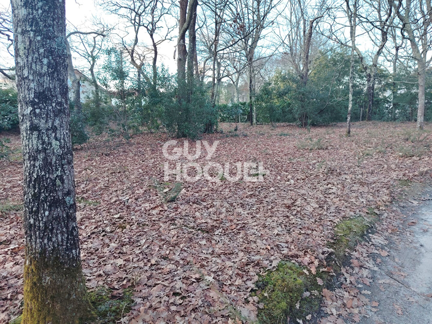 Terrain Mont De Marsan 556 m2