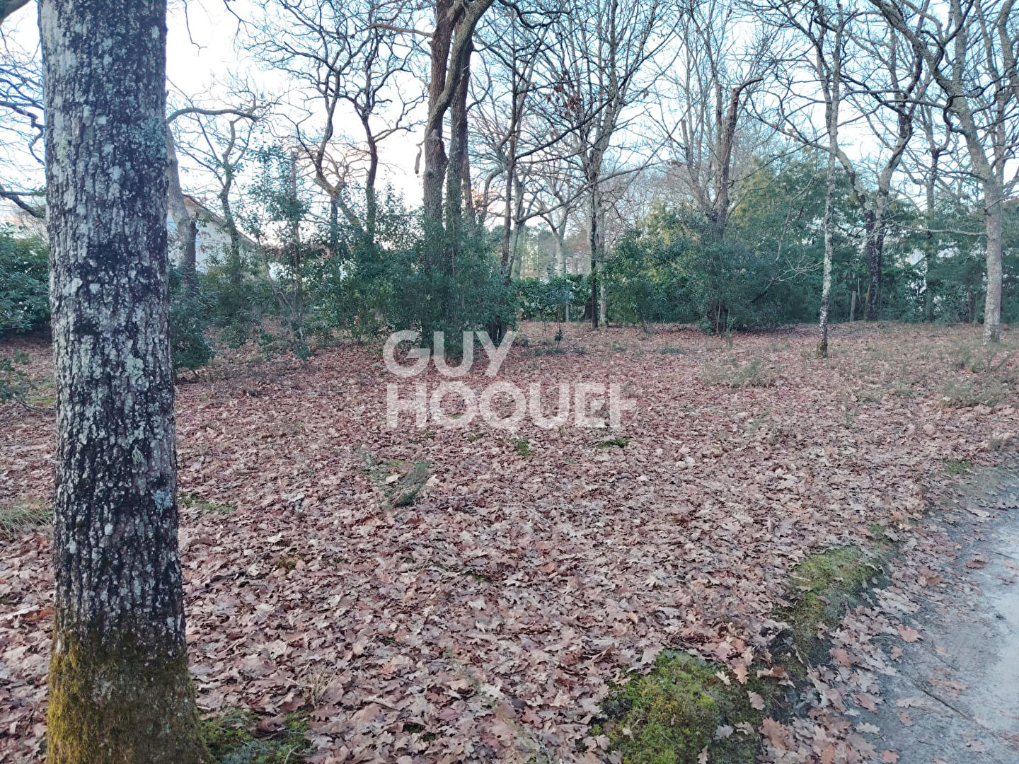 Terrain Mont De Marsan 556 m2