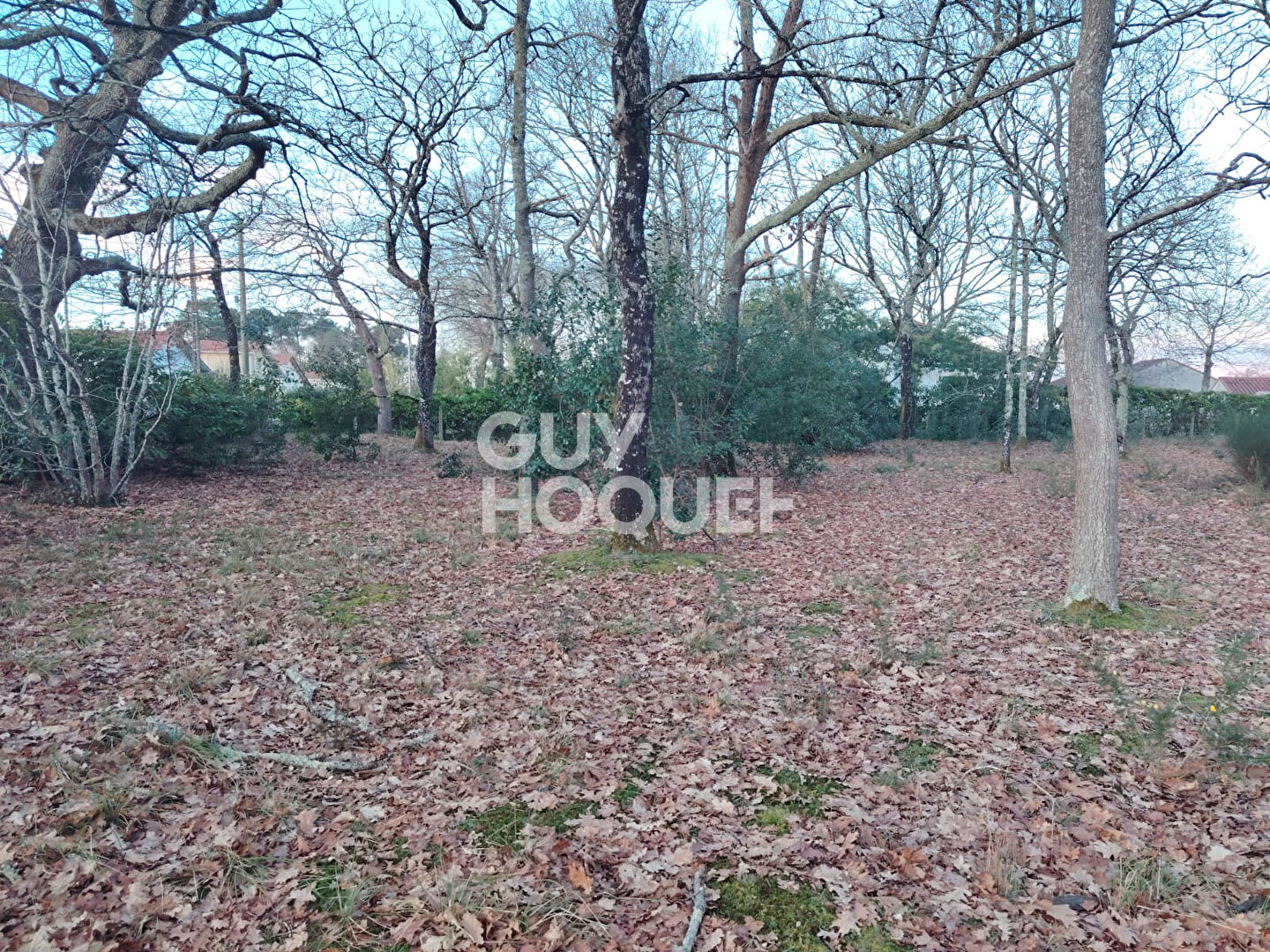 Terrain Mont De Marsan 556 m2