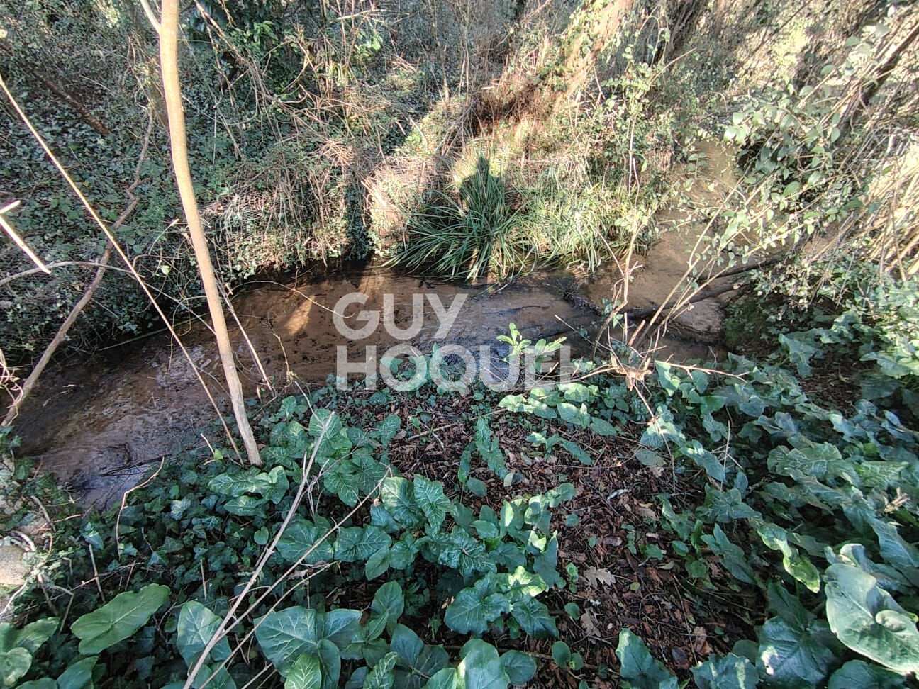Terrain Mont De Marsan 903 m2