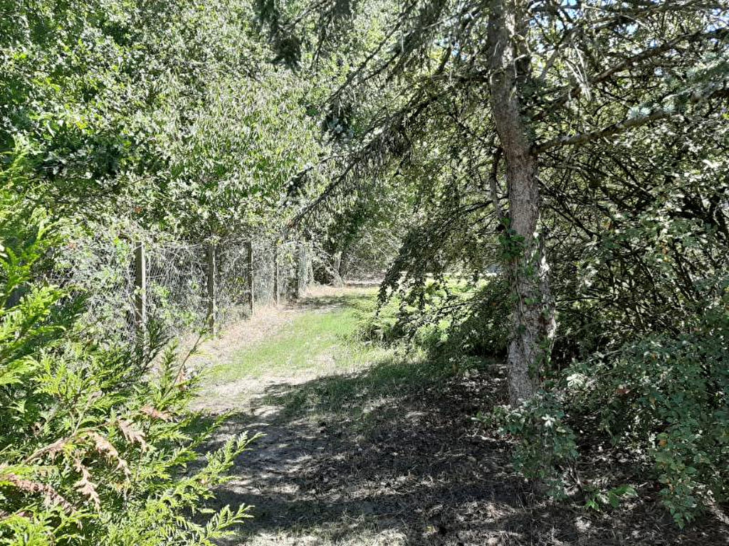 Terrain de loisirs de 1950 m2