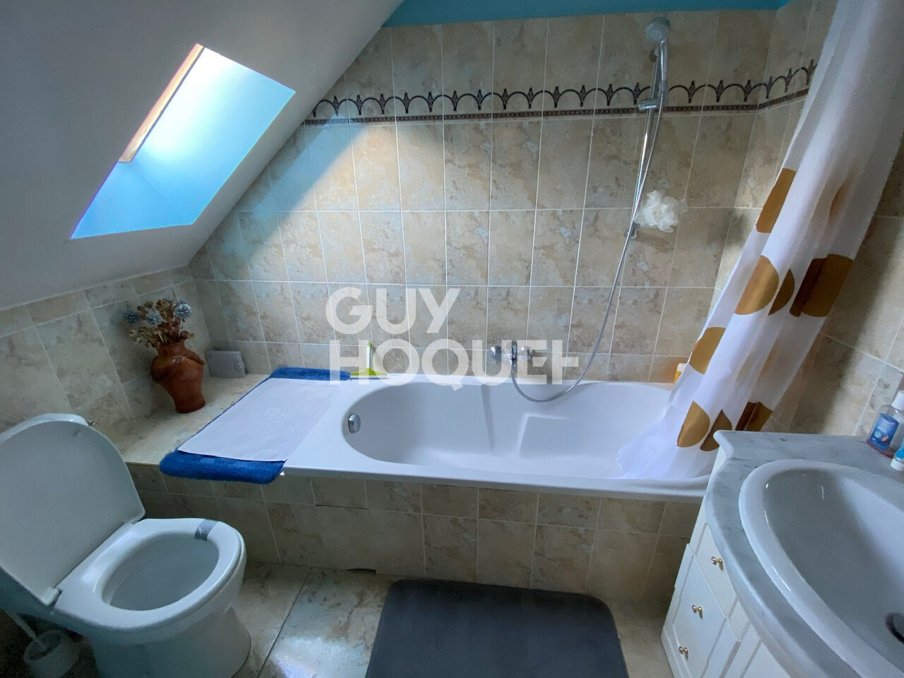 Maison atypique 8 pièces - VENEUX LES SABLONS