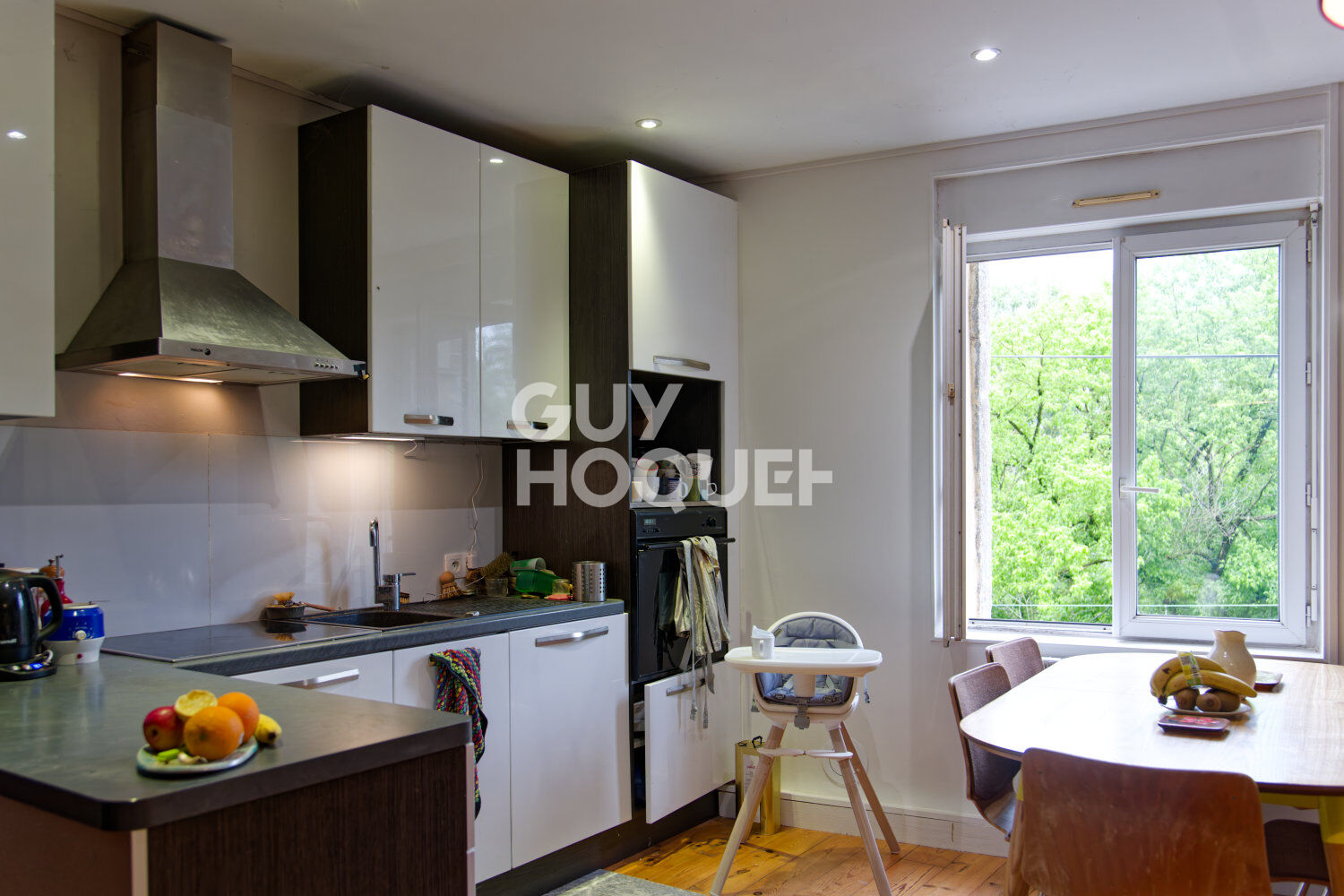 Appartement Vernaison limite Millery