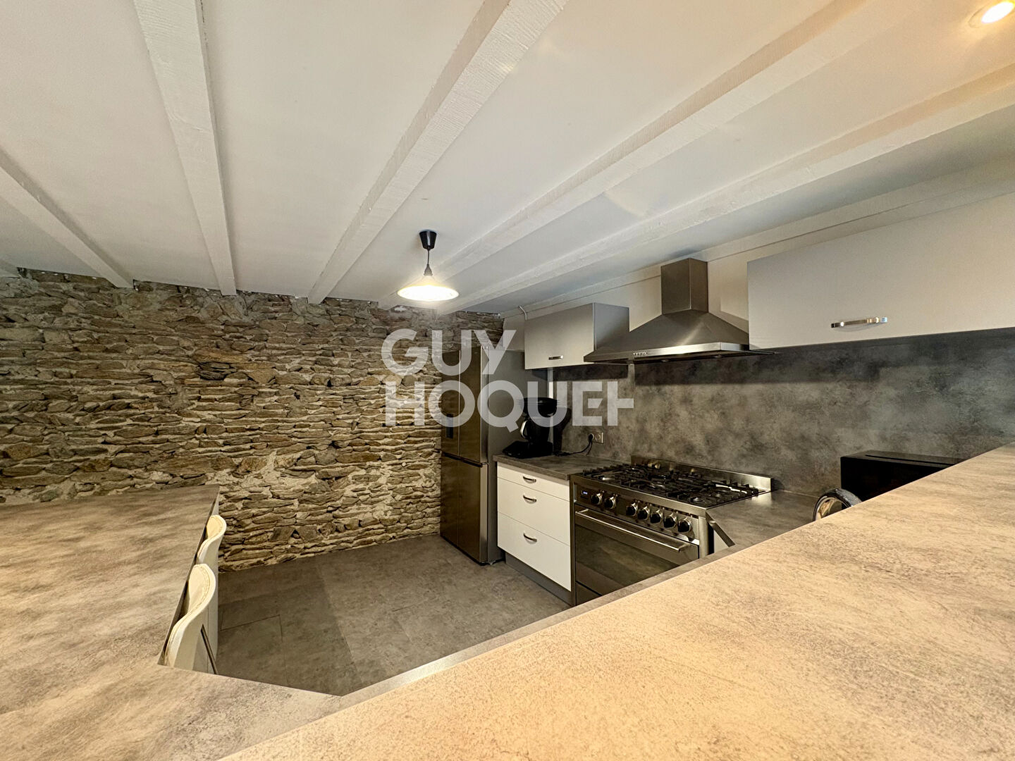 Appartement esprit loft T4 avec terrasse et garage double - coeur de ville