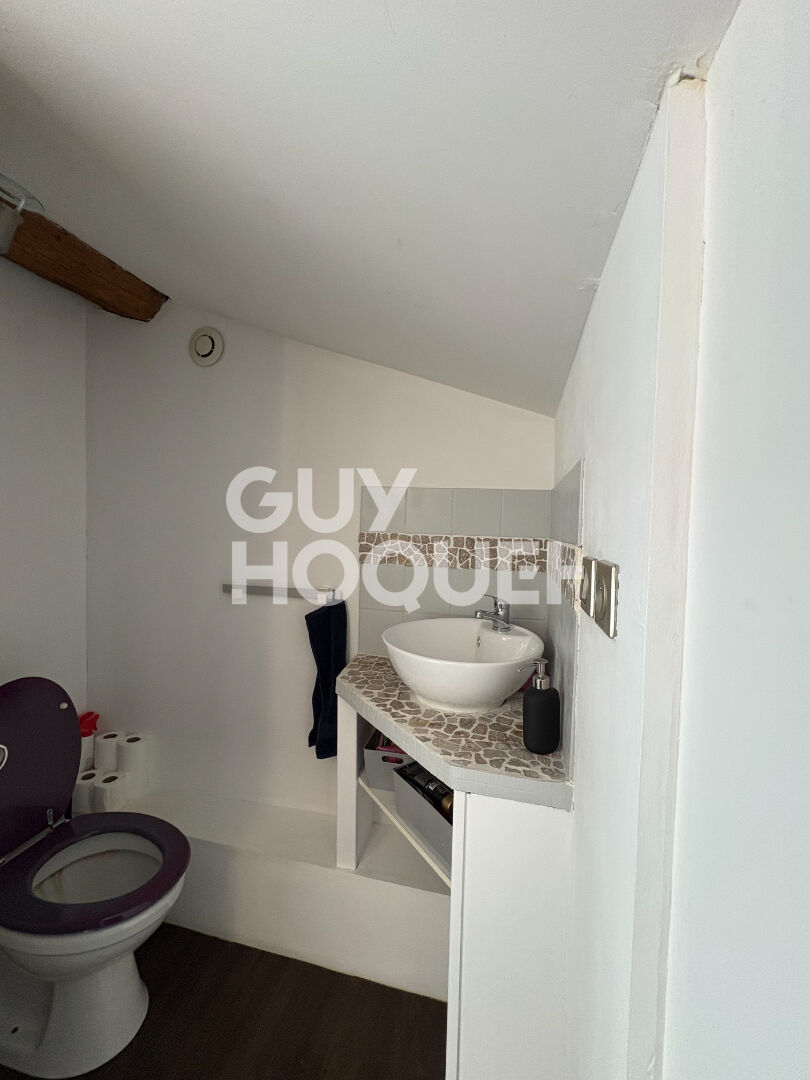 Appartement esprit loft T4 avec terrasse et garage double - coeur de ville