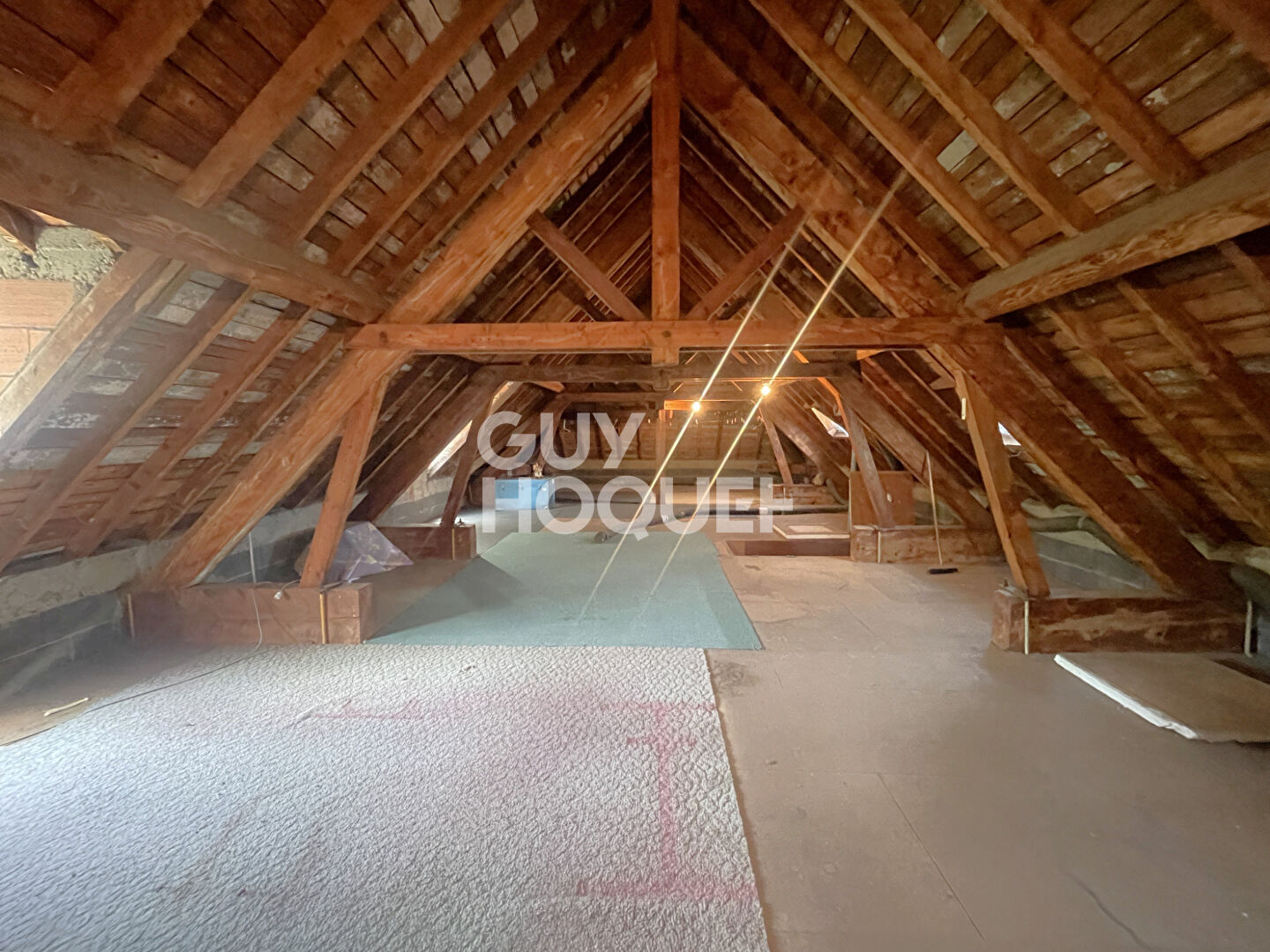 Chavanne ! Magnifique maison familiale avec vue