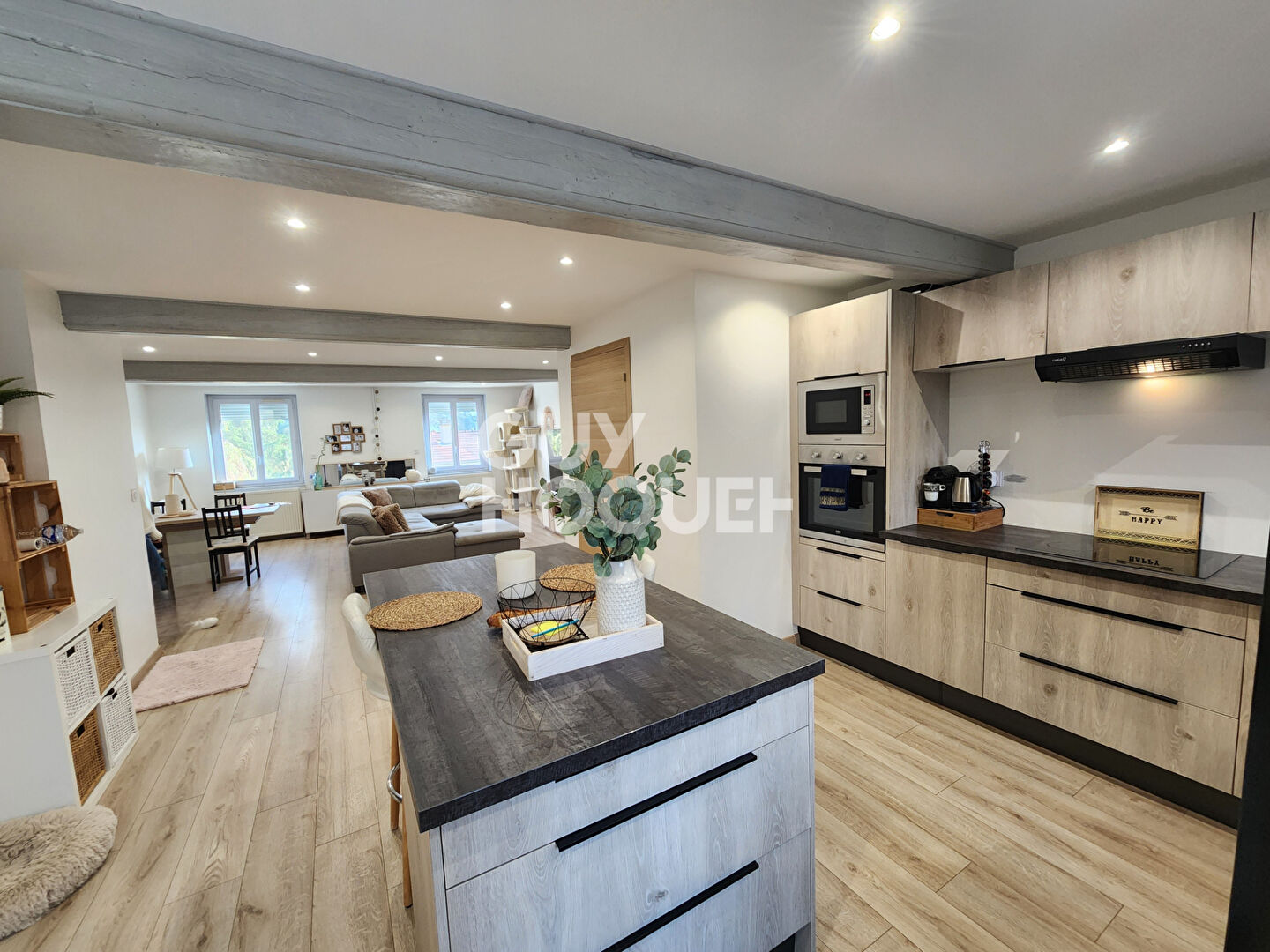 Maison  Saint Martin La Plaine 4 pièces 118 m²