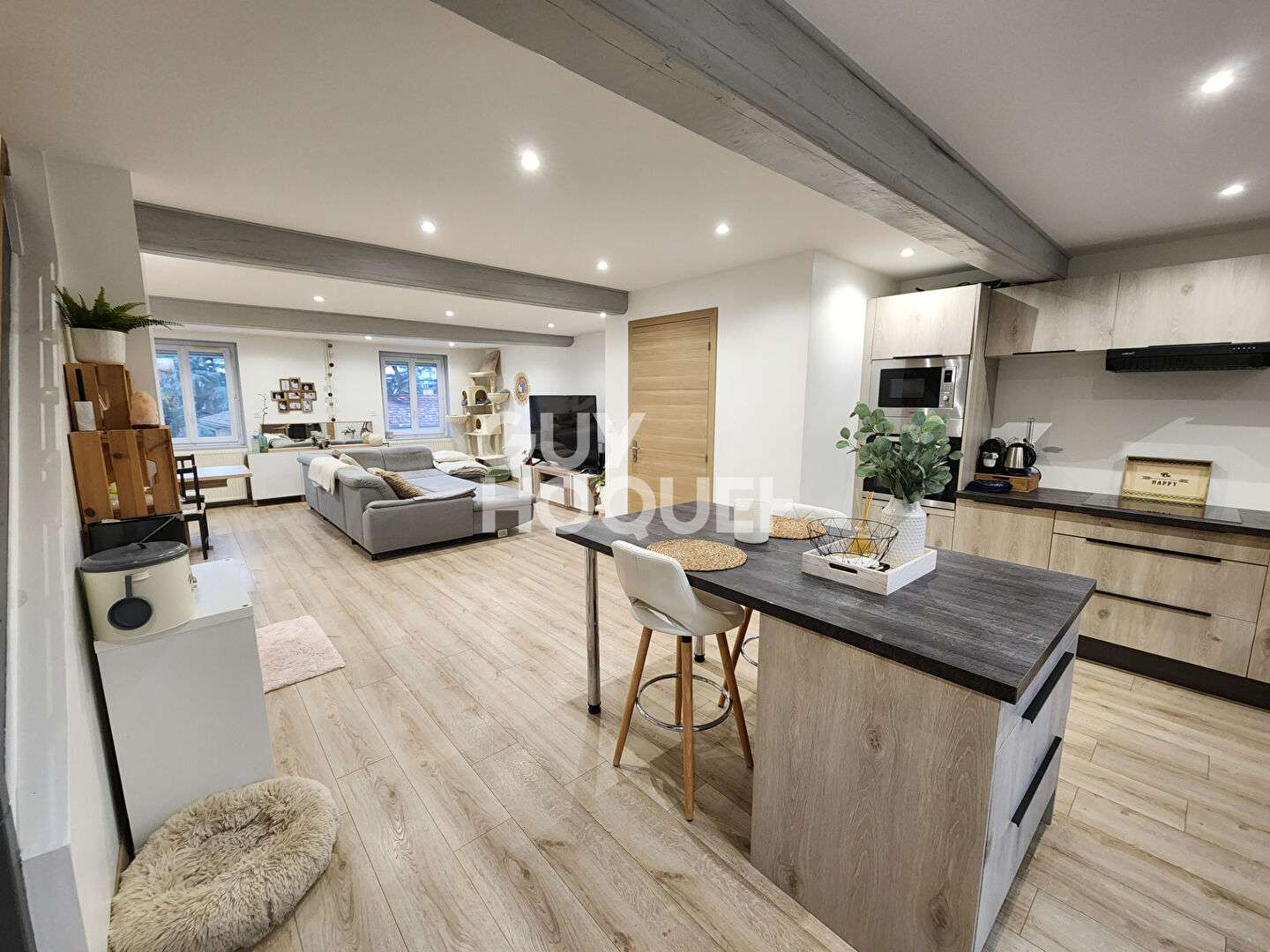 Maison  Saint Martin La Plaine 4 pièces 118 m²