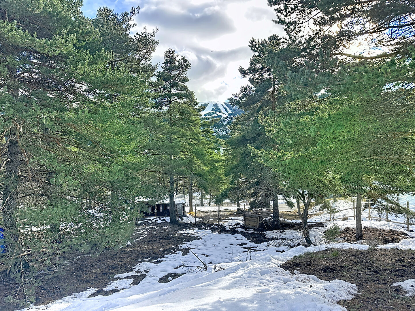 À vendre: Terrain à bâtir à Andon