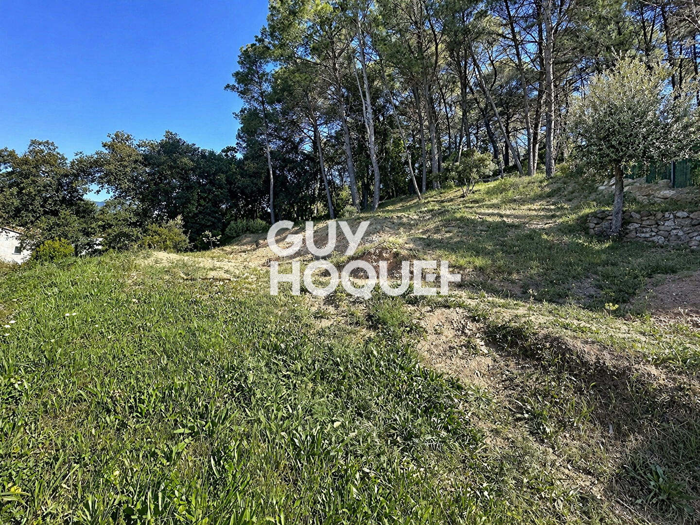 Terrain 2006 m2  Constructible -Pégomas