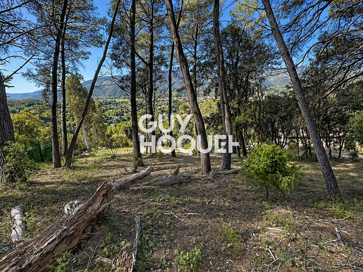 Terrain 2006 m2  Constructible -Pégomas