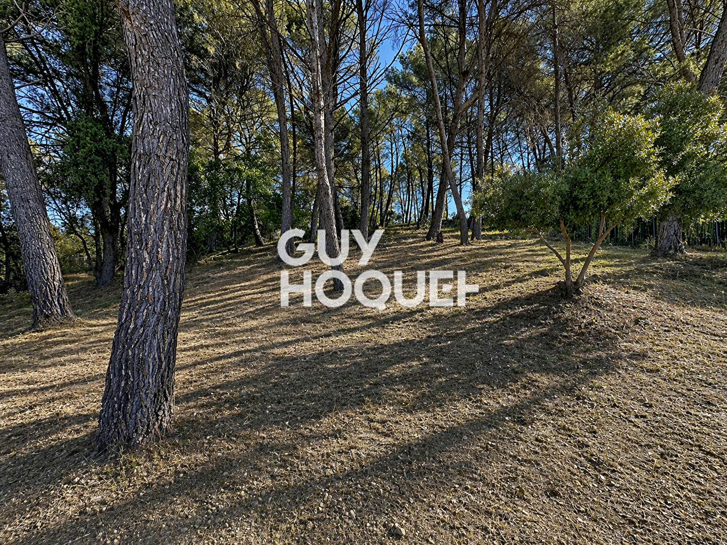 Terrain 2006 m2  Constructible -Pégomas