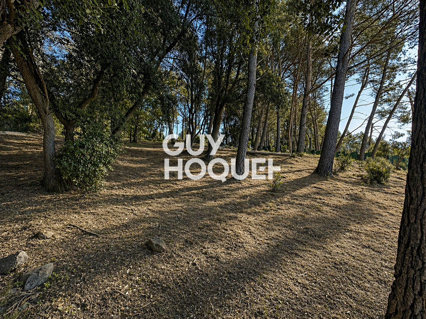 Terrain 2006 m2  Constructible -Pégomas