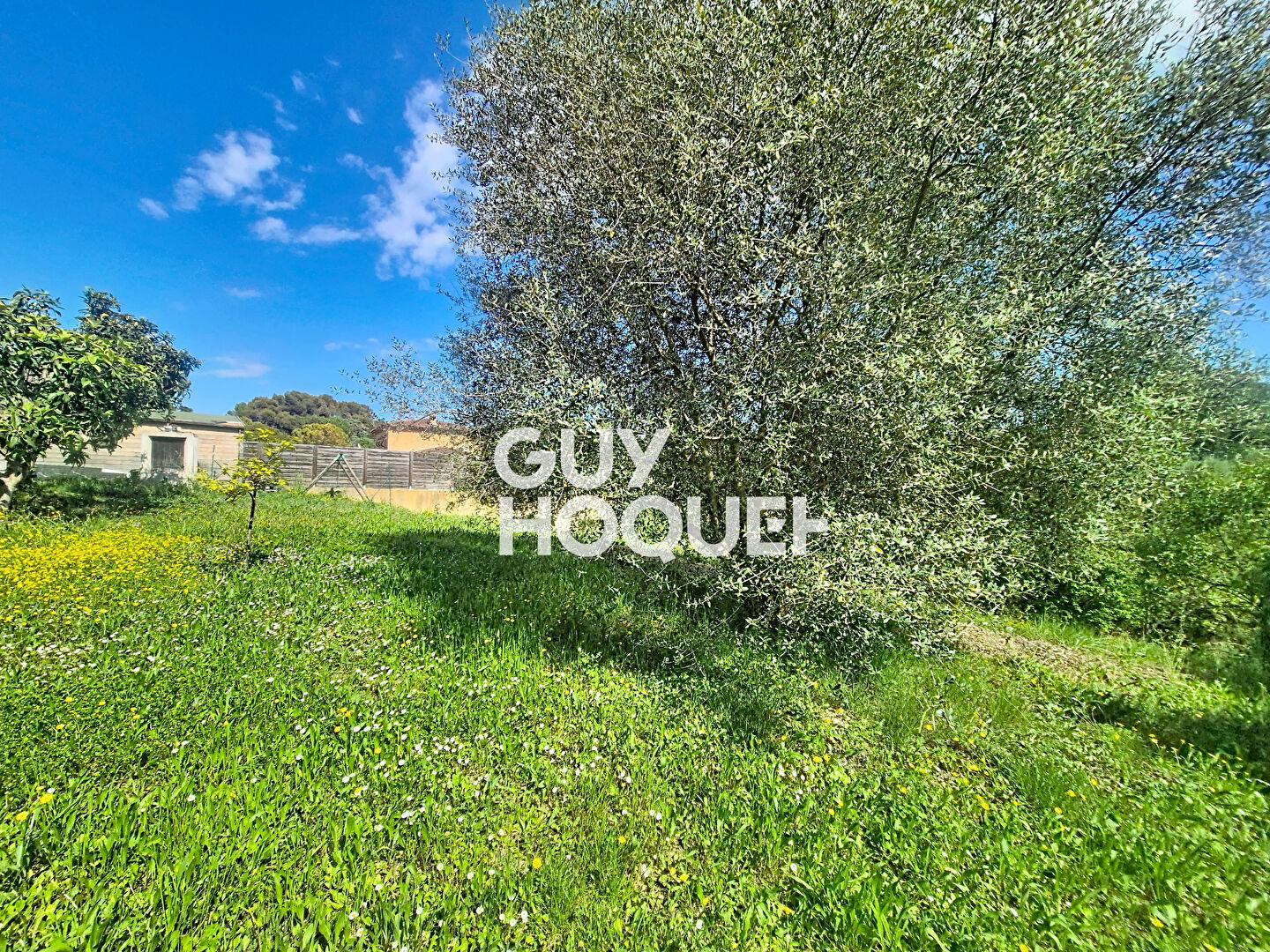 Deux maisons indépendantes 2 et 3 pièces sur 495 m² à Mougins