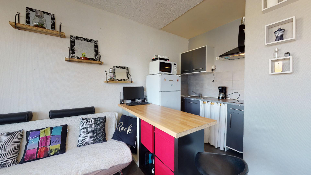 Appartement Erstein 1 pièce(s) 20.31 m2