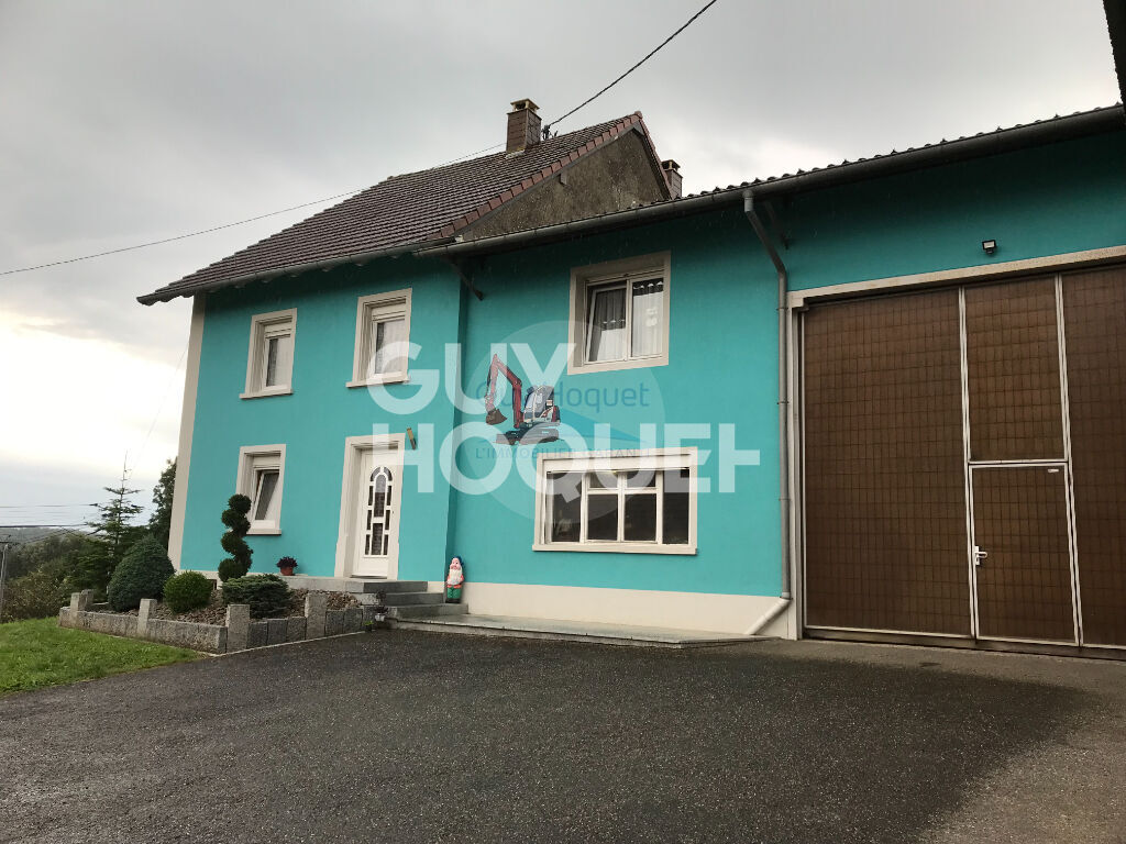 Ensemble immobilier Maison et Hangars STRUETH (68580)