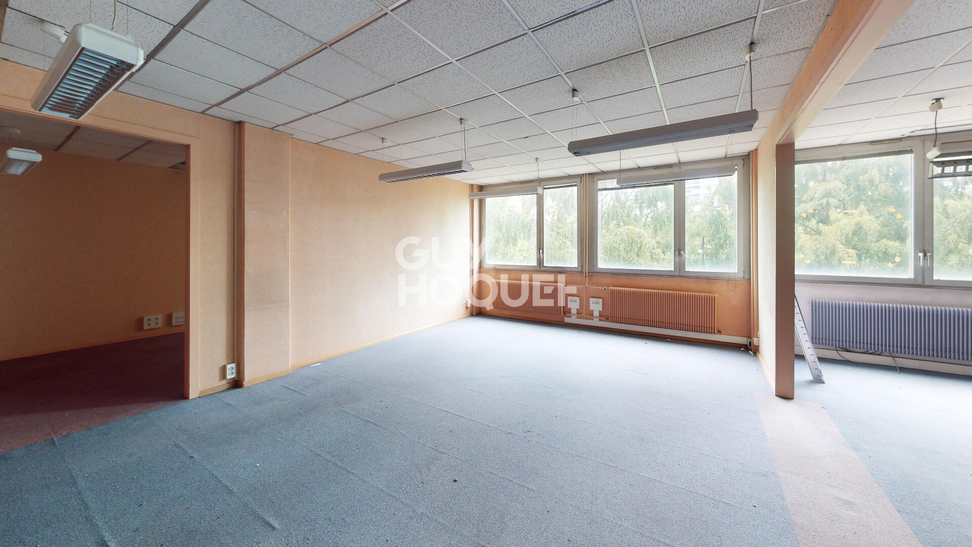 LOCAUX transformables appartements!