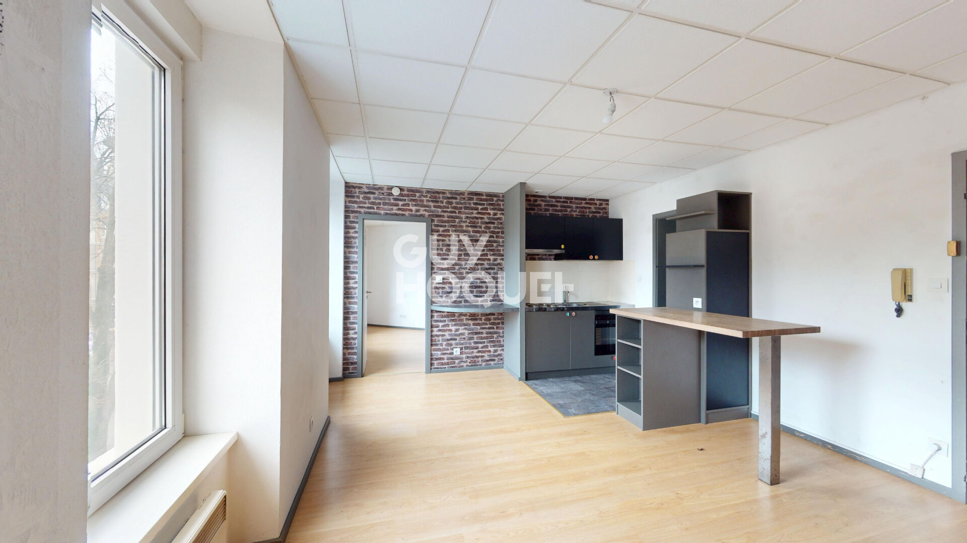 Immeuble 600 m2 centre historique de Mulhouse  9xF2 + 2 locaux commerciaux