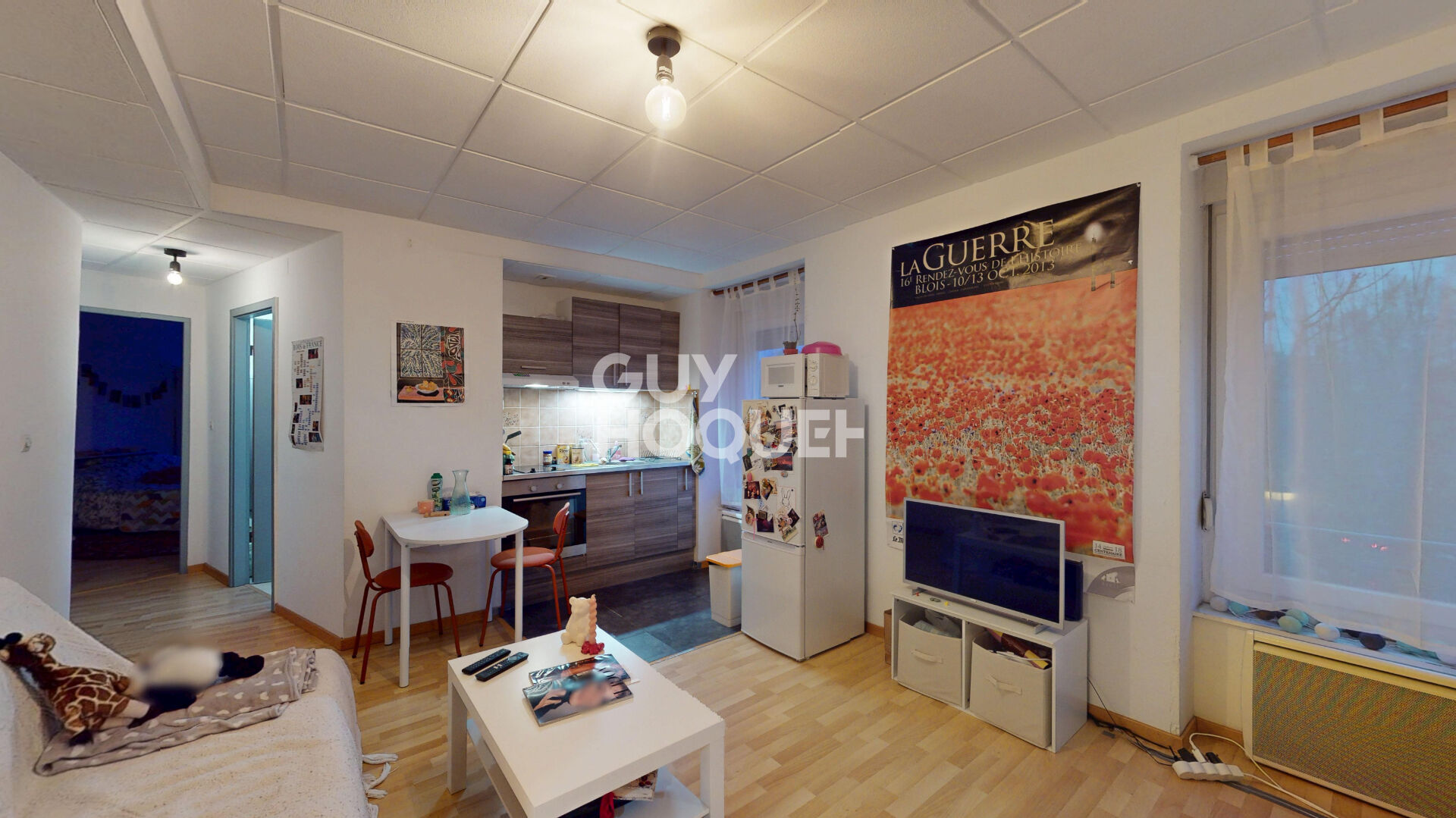 Immeuble 600 m2 centre historique de Mulhouse  9xF2 + 2 locaux commerciaux