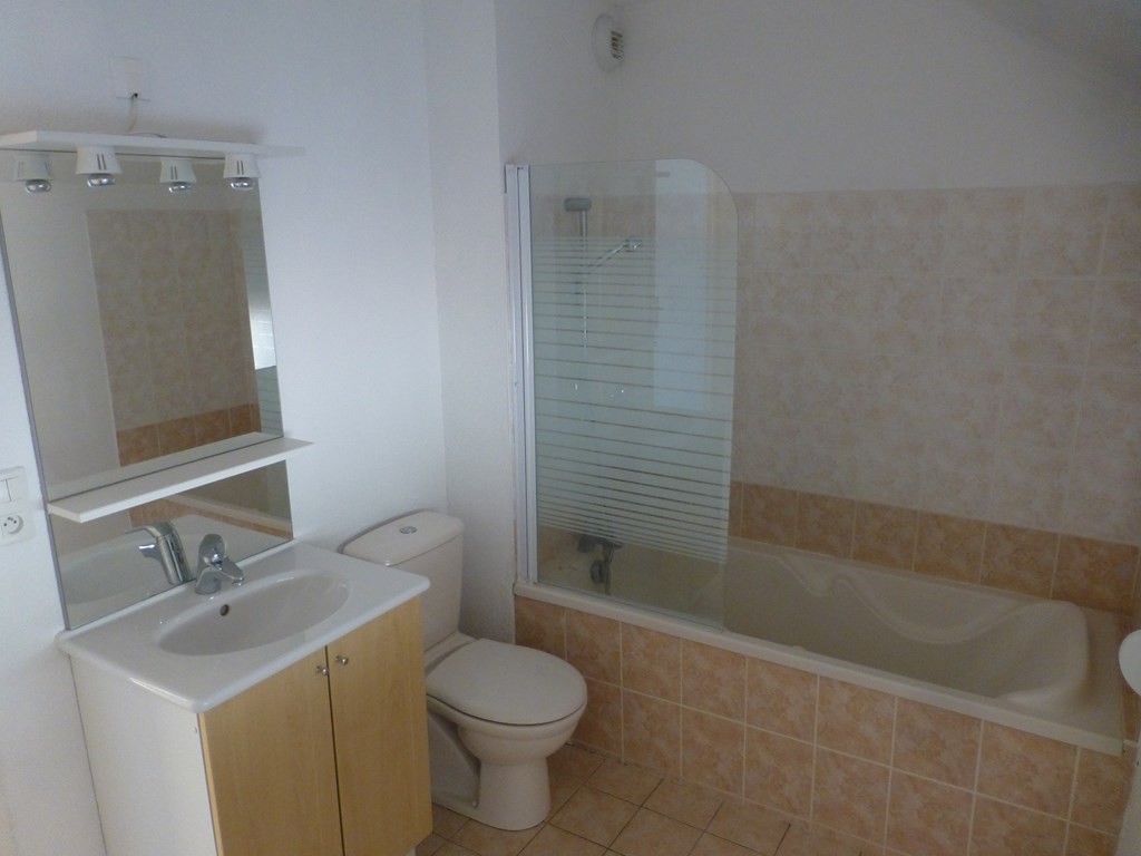 Troyes - Duplex 4 pièces en bordure de seine