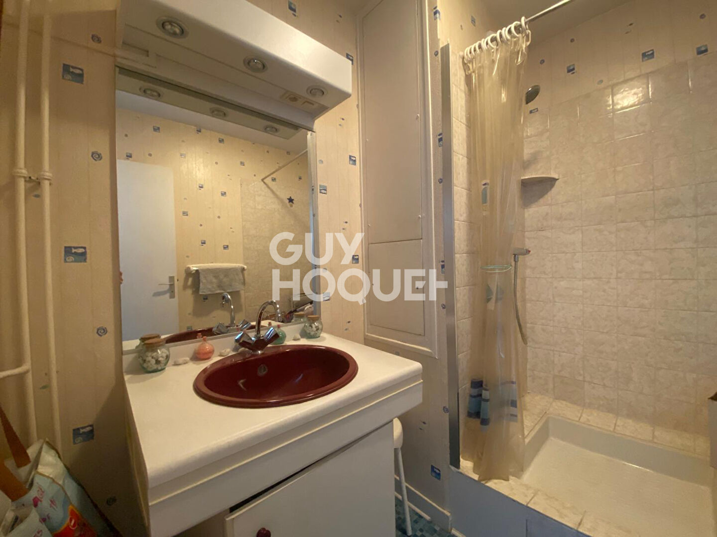 À vendre : Appartement spacieux de 6 pièces à Vandoeuvre-lès-Nancy