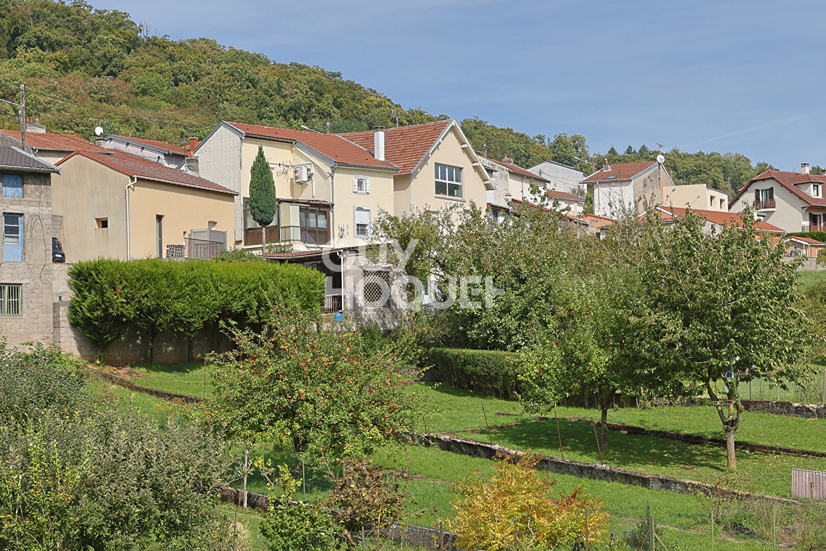 Maison à vendre à Chavigny : votre nouveau cocon à prix doux !