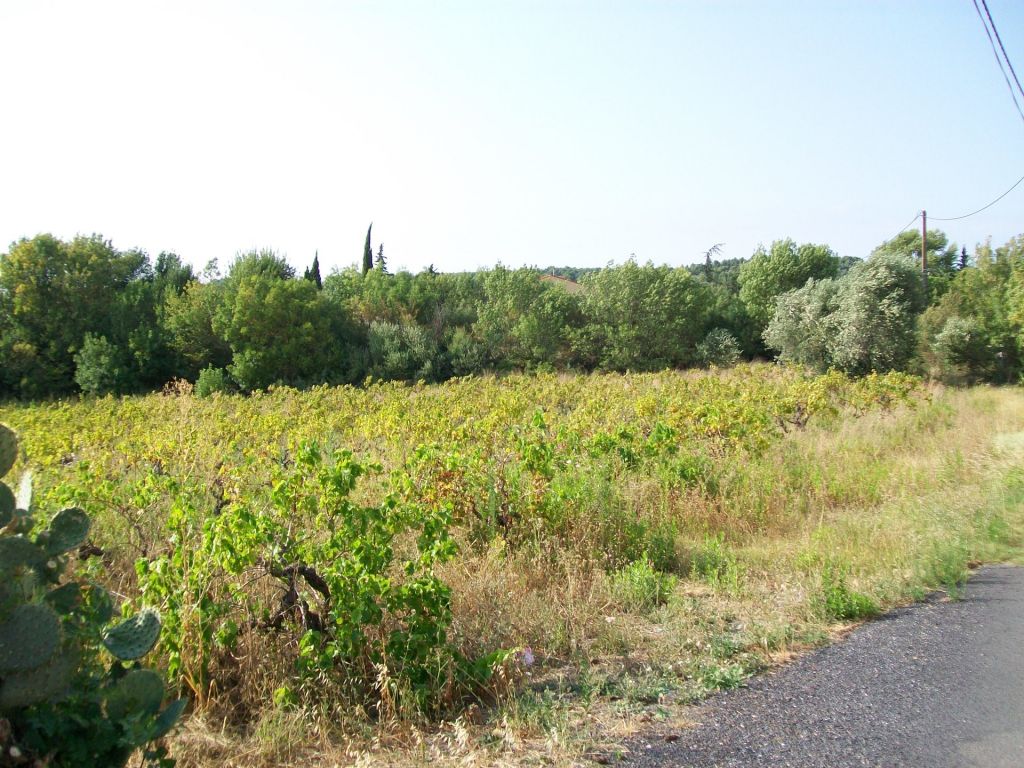 Terrain à Bâtir Avec Vue Dégagée Sur La Nature