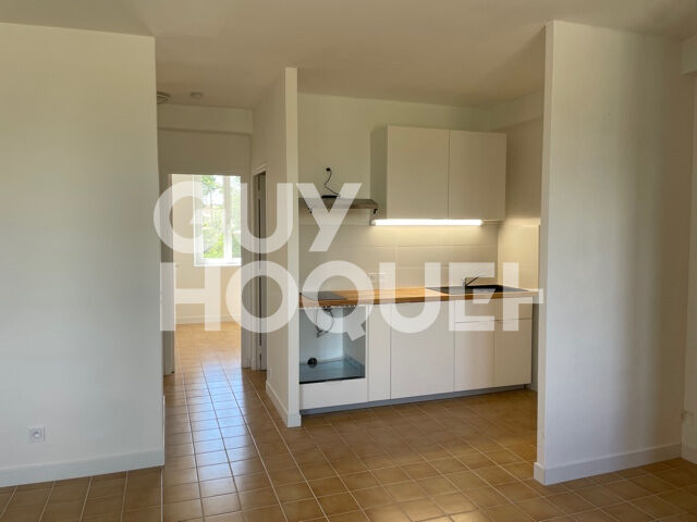 À louer ? Appartement T3 entièrement rénové à Homps