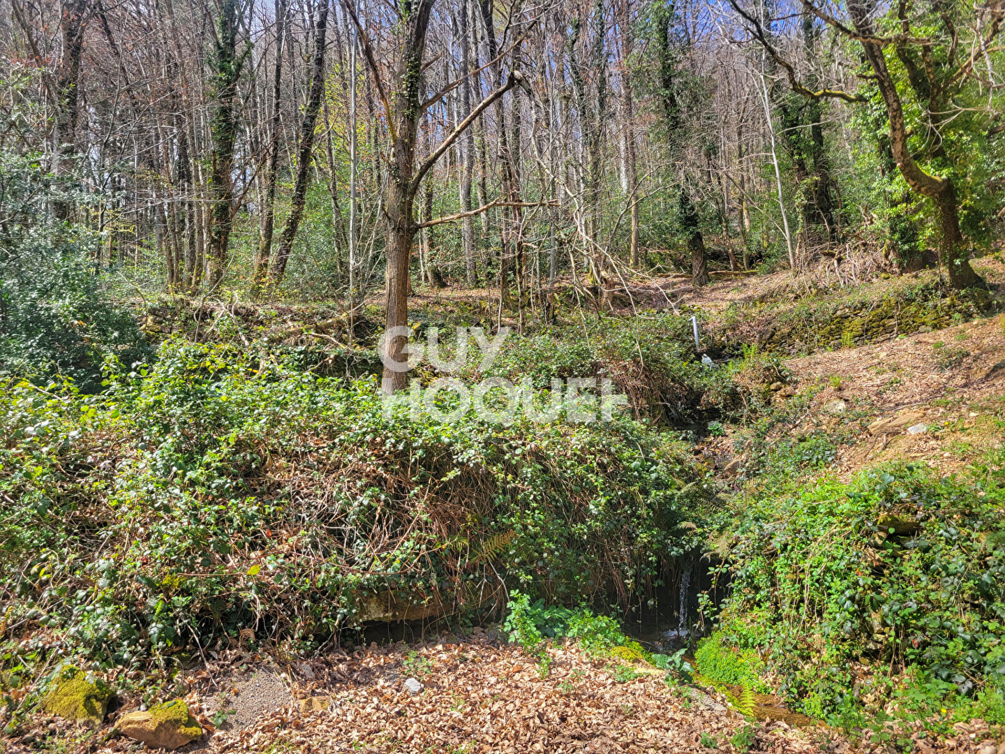 À vendre : Ferme spacieuse à Ferrals-les-Montagnes