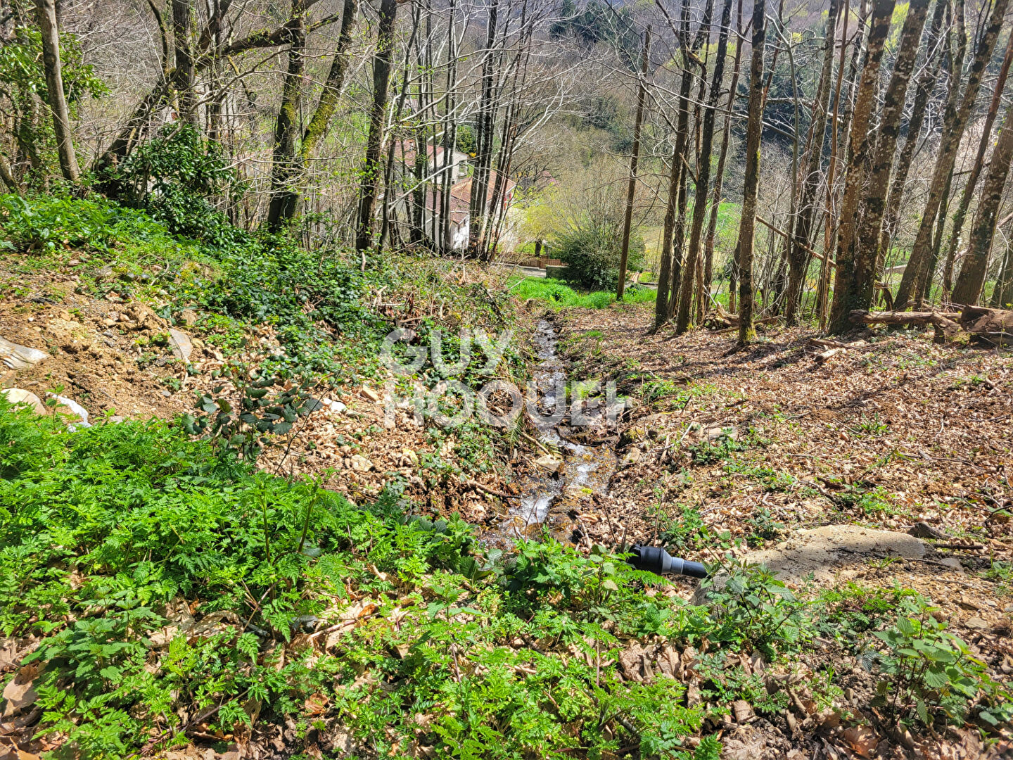 À vendre : Ferme spacieuse à Ferrals-les-Montagnes