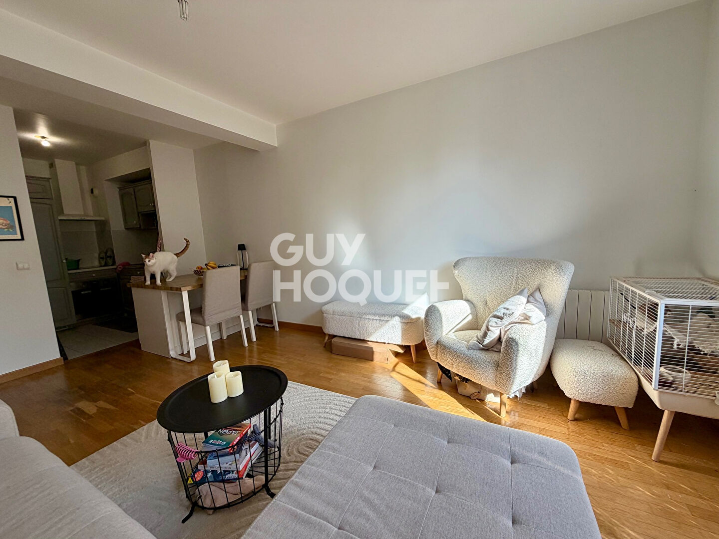 Appartement Le Perreux Sur Marne  3 pièce(s) 60 m2