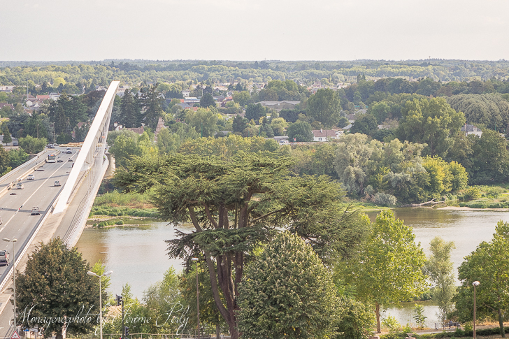 EXCLUSIVITÉ- Appartement Saint Jean De La Ruelle 5 pièces 106.50 m2