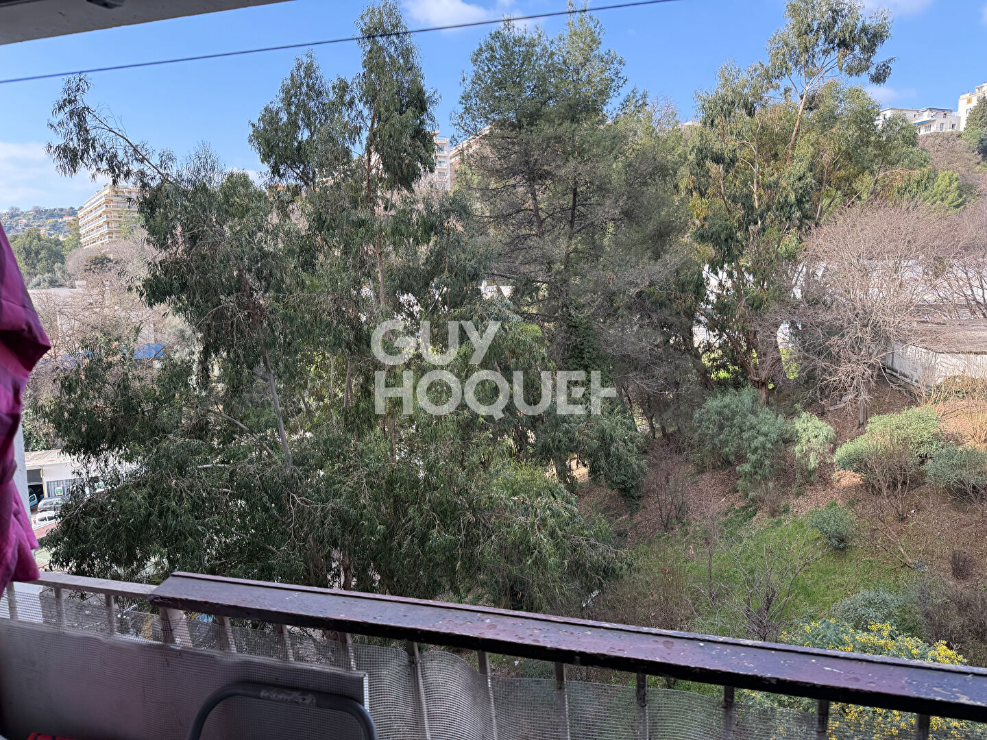 Investissement locatif -  3P Quartier du Ray ? Tram à 2 minutes