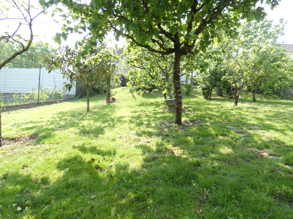 EXCLUSIVITE : TERRAIN LA NORVILLE
