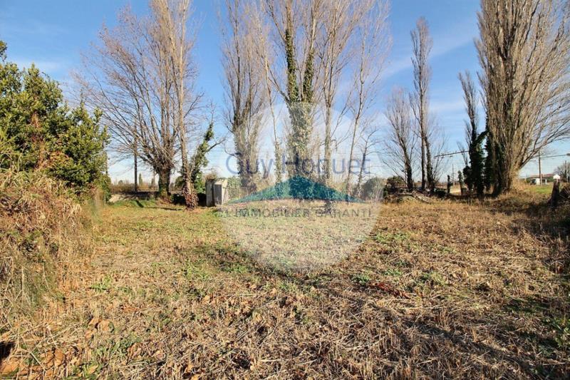 TERRAIN PLAT ET ARBORE