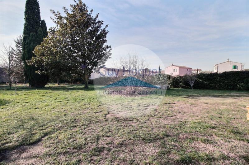 TERRAIN PLAT ET ARBORE