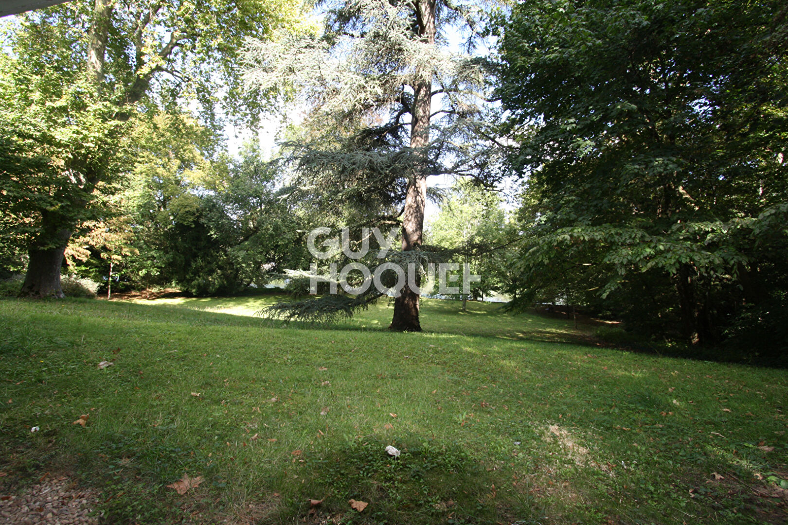 OLIVET : appartement T1 (22 m²) en location MEUBLE - FACE AU LOIRET