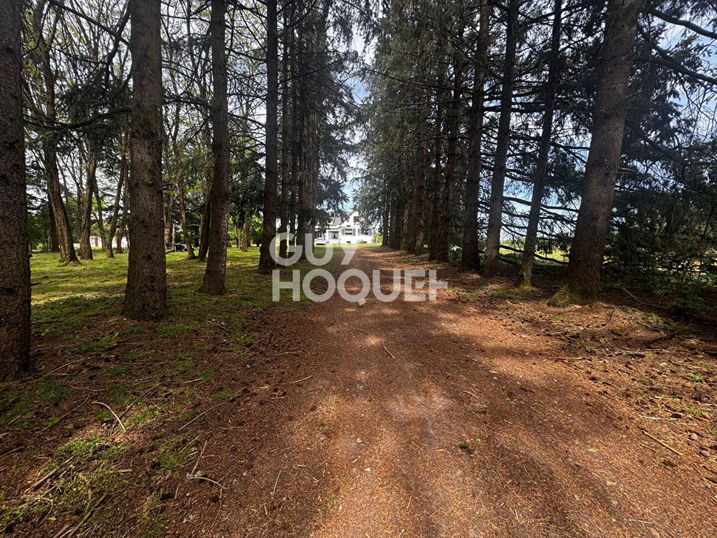 Propriété rénovée avec piscine et vue dégagée, environnement privilégié à Vienne-en-Val