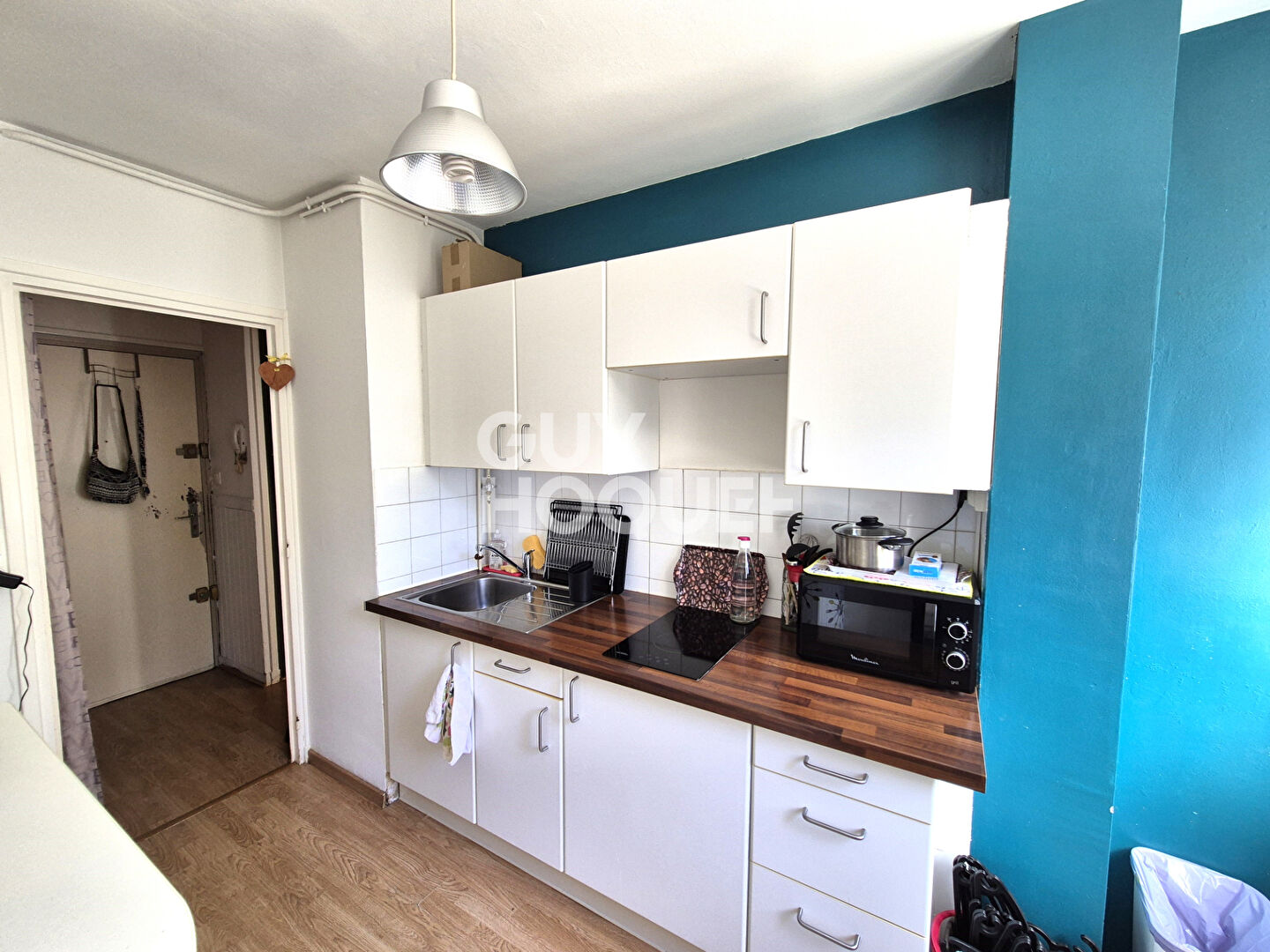 Appartement Oullins 1 pièce 28 m2