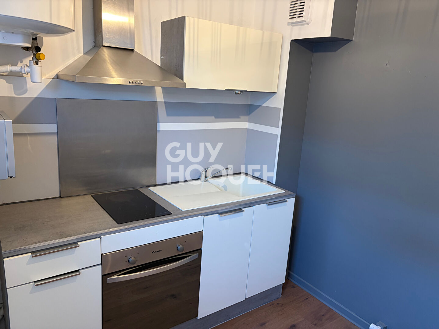 À vendre : Appartement 4 pièces à Oullins Les IFS  refait a neuf