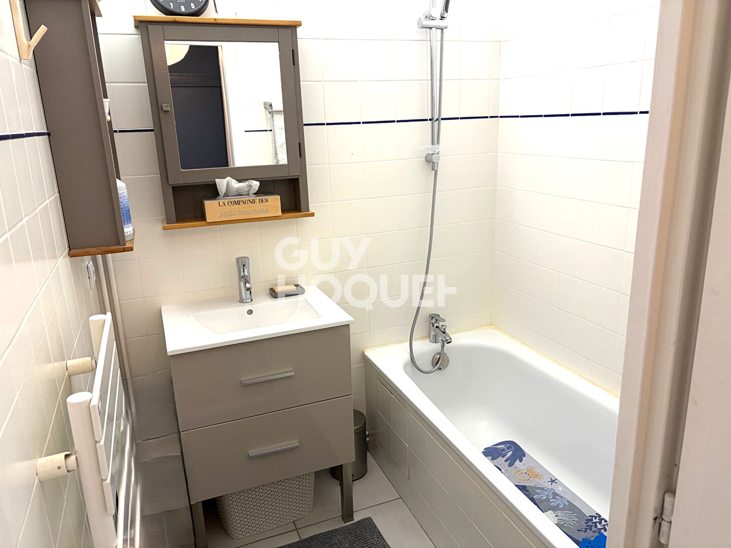 Appartement 4 pièces 85m²  à vendre à Vernaison  