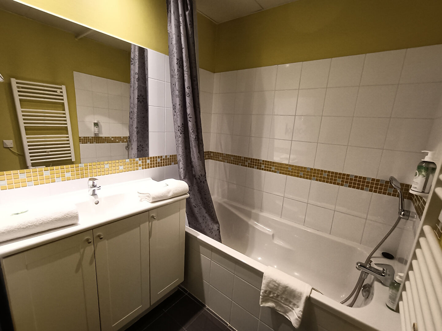 Studio en LMNP  Tassin La Demi Lune 1 pièce(s)  19,51 m2