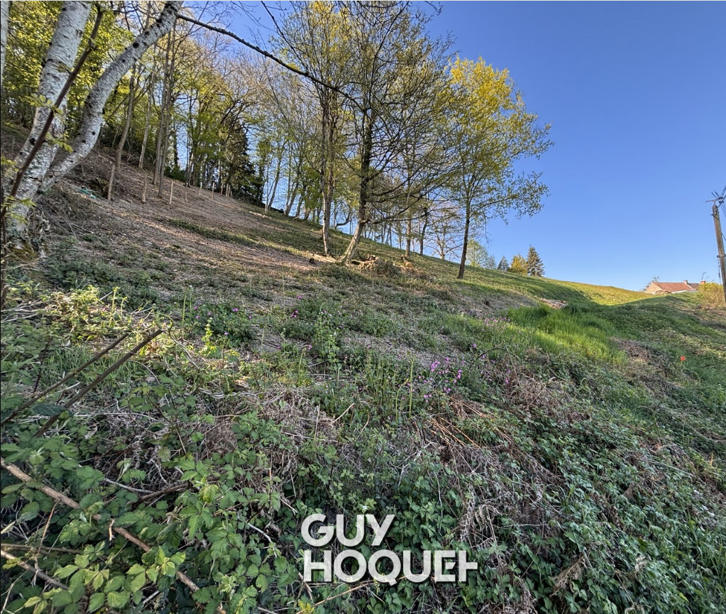 RARE À LA VENTE ? TERRAIN AVEC VUE PANORAMIQUE