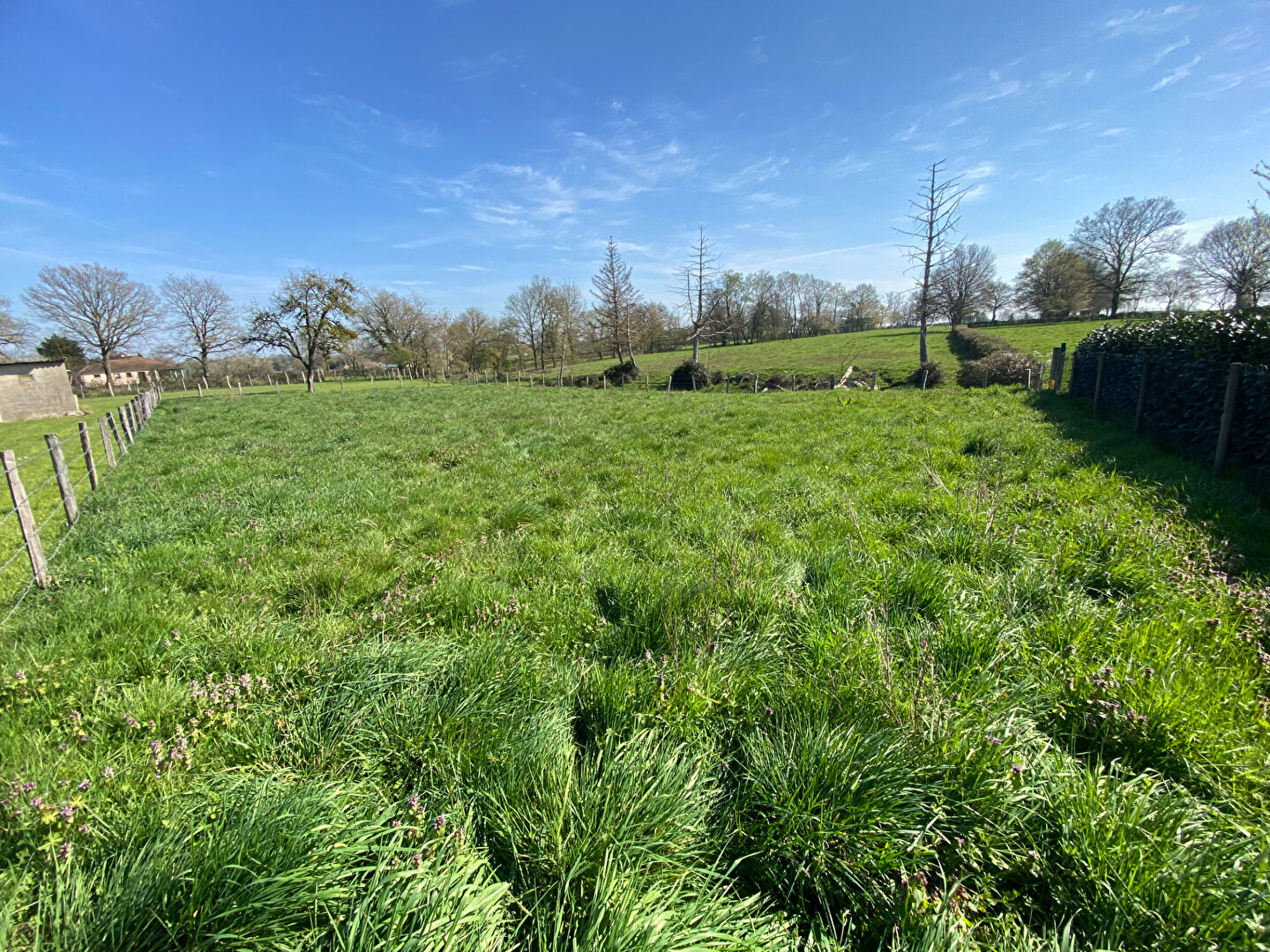 Terrain Saint Leger Les Paray 983 m2