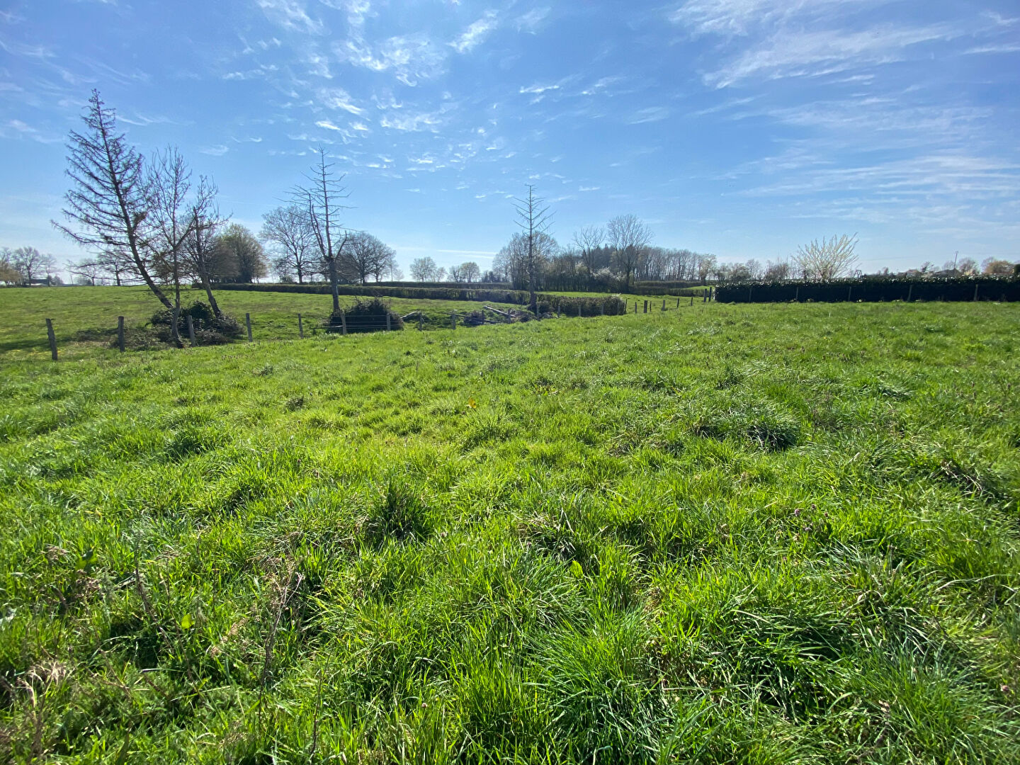 Terrain Saint Leger Les Paray 983 m2